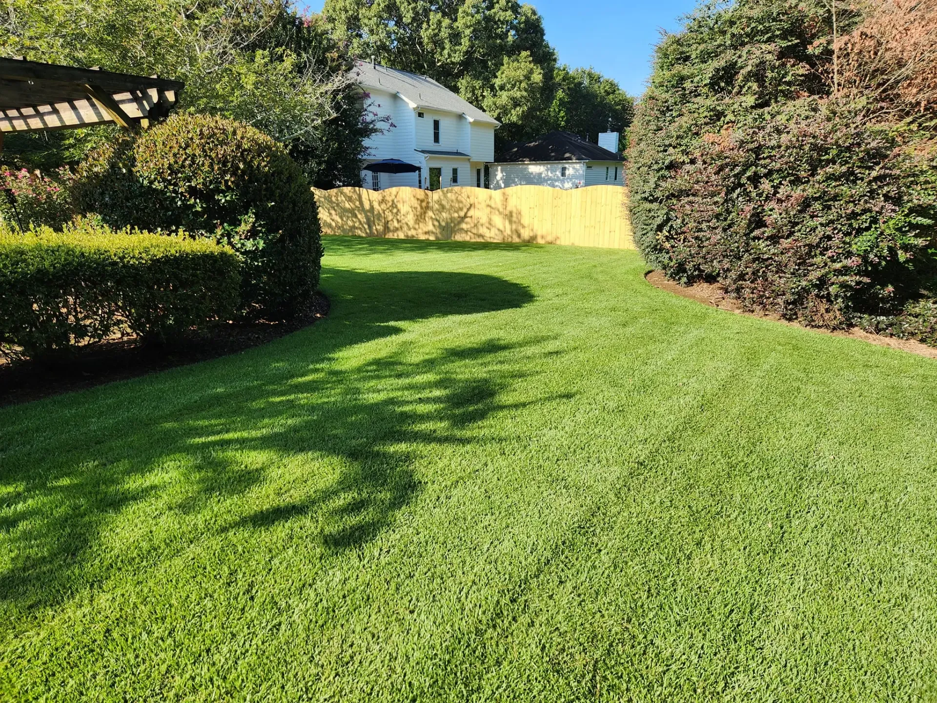 Sod Installation